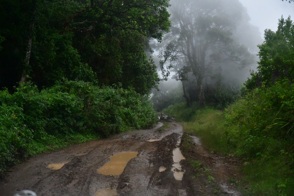 Through Omo National Park
